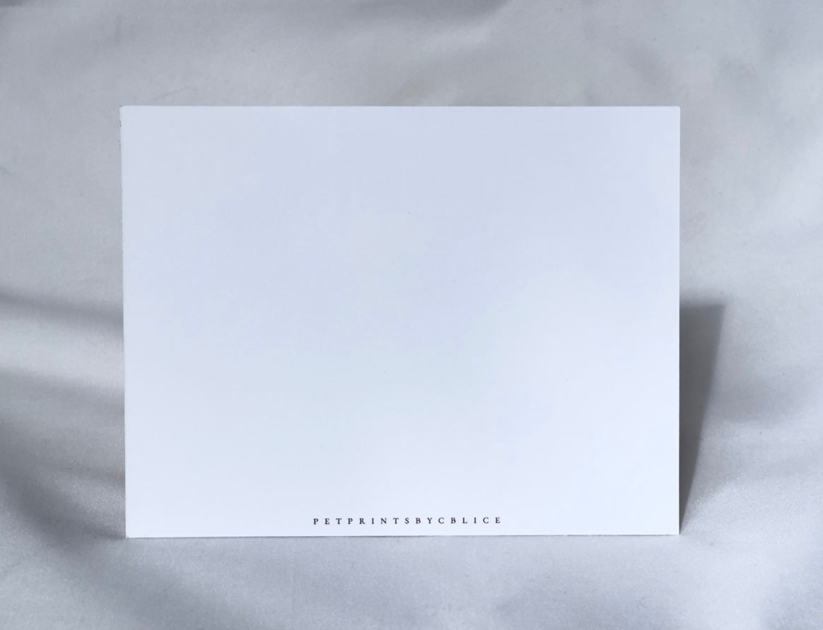 Beau Biscuit the Boykin - Note Cards