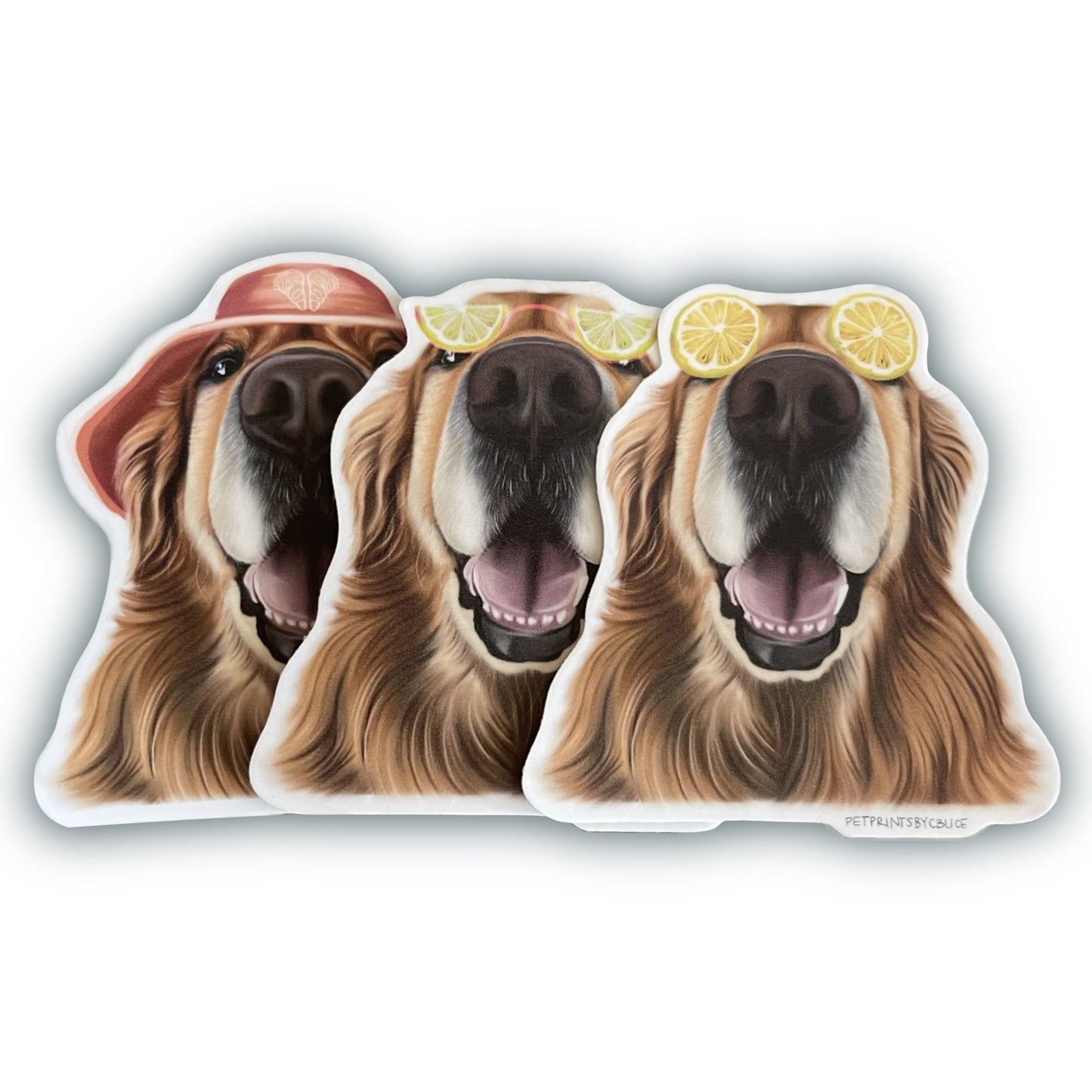 Shuck Morris- Sticker