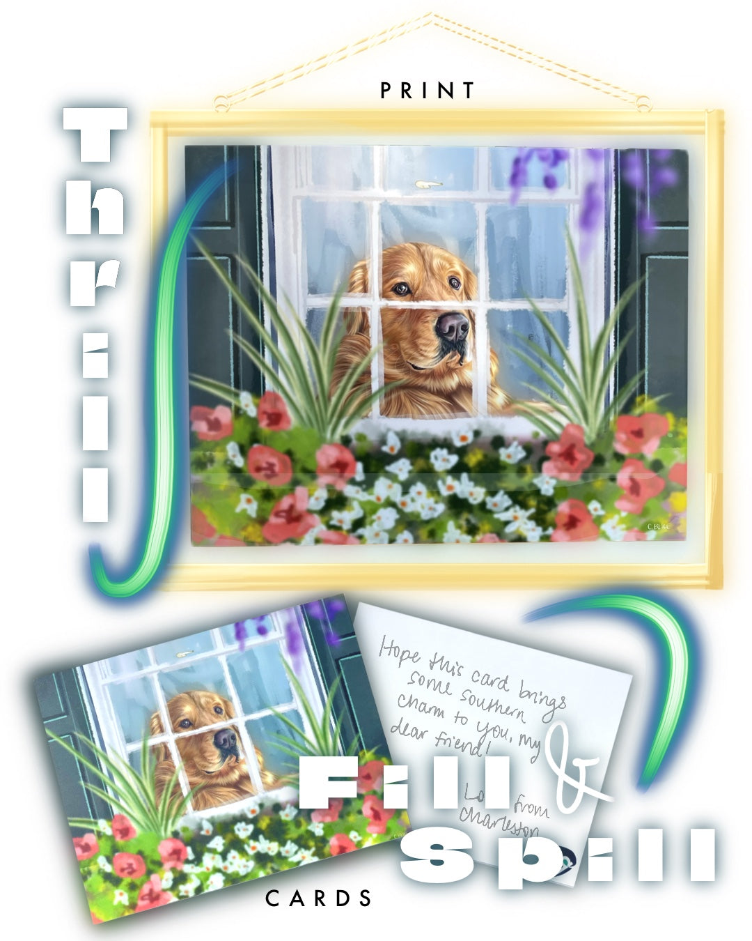 Window Box Watcher- Note Cards