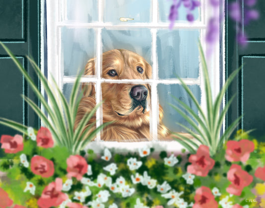 Window Box Watcher- Note Cards