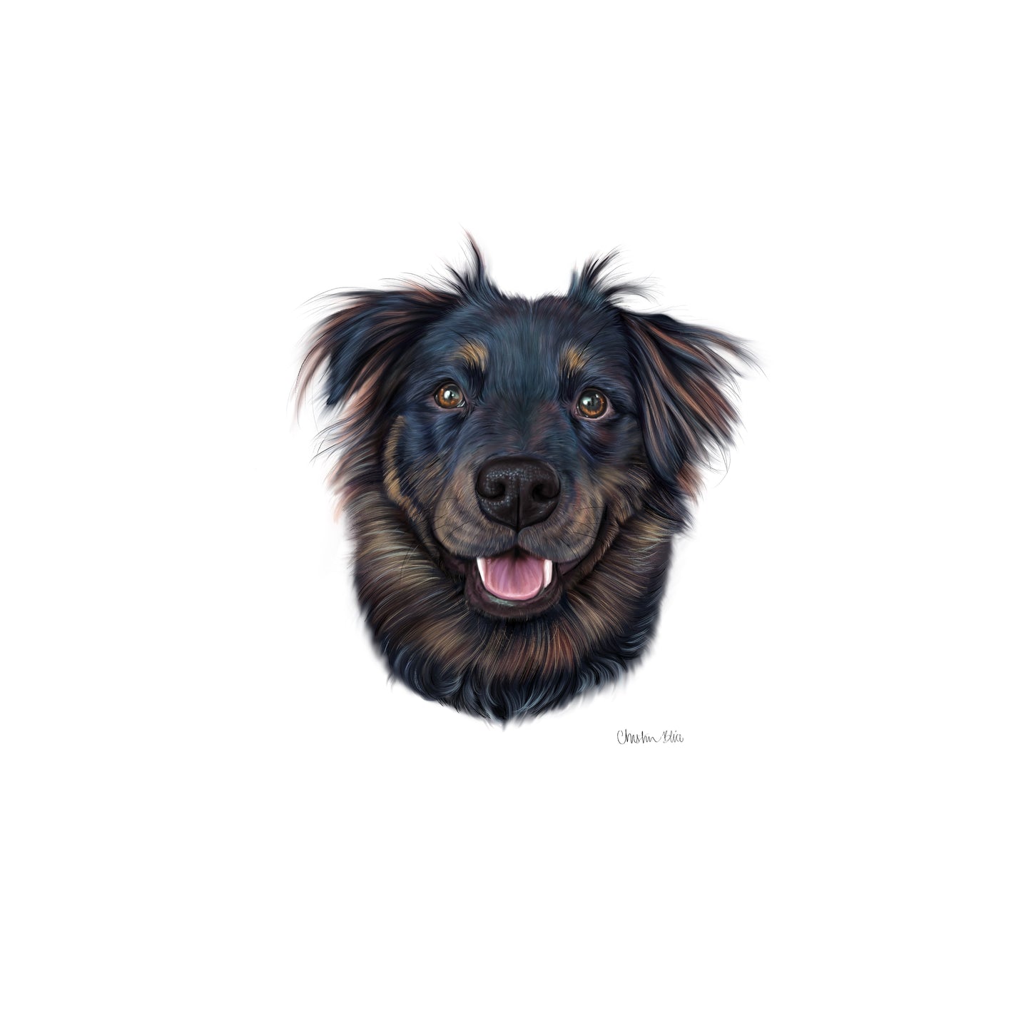 CUSTOM Pet Portrait Painting (hand-illustrated)