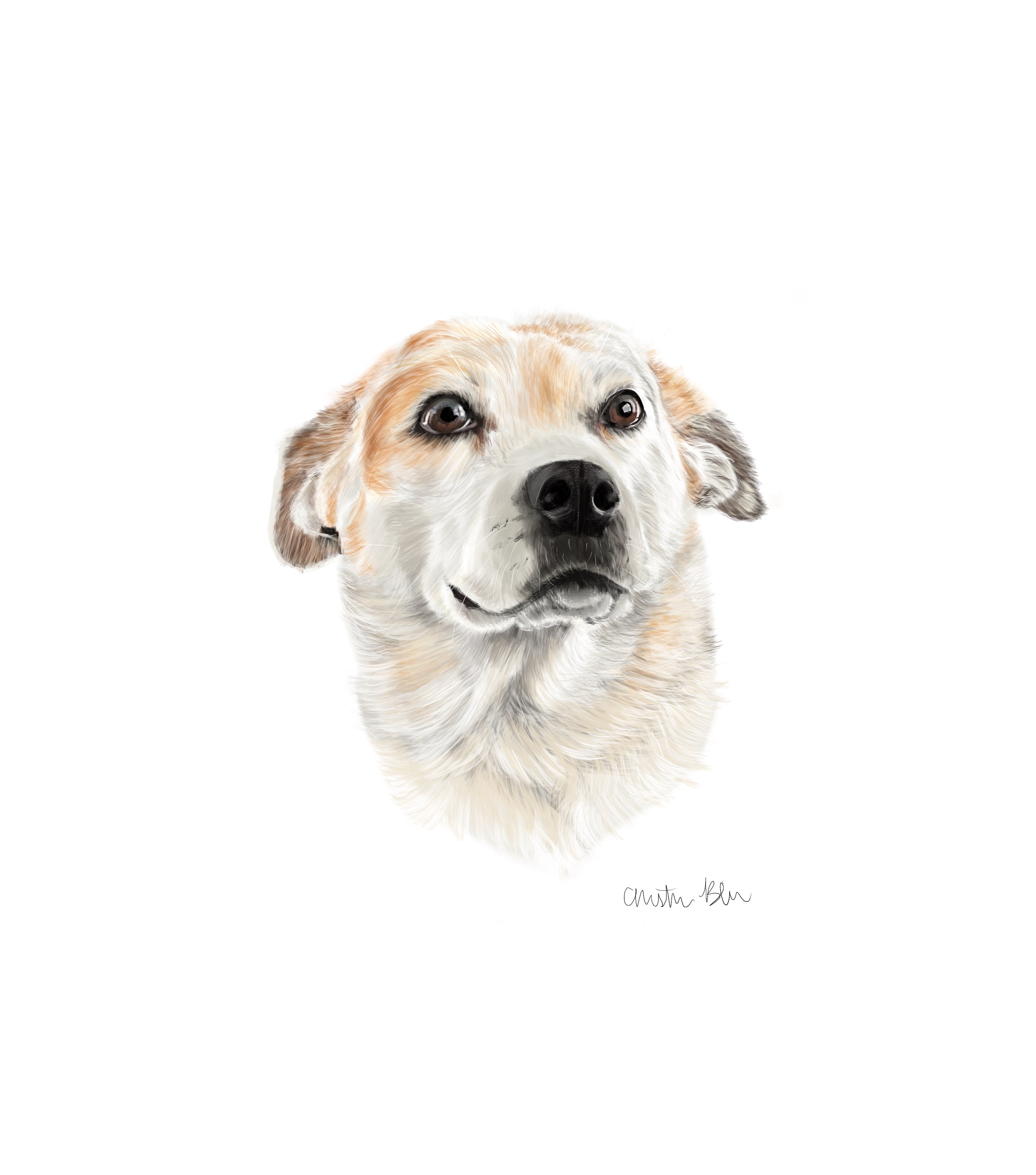 Outlet October Sale! 5x5 Custom Pet Portrait