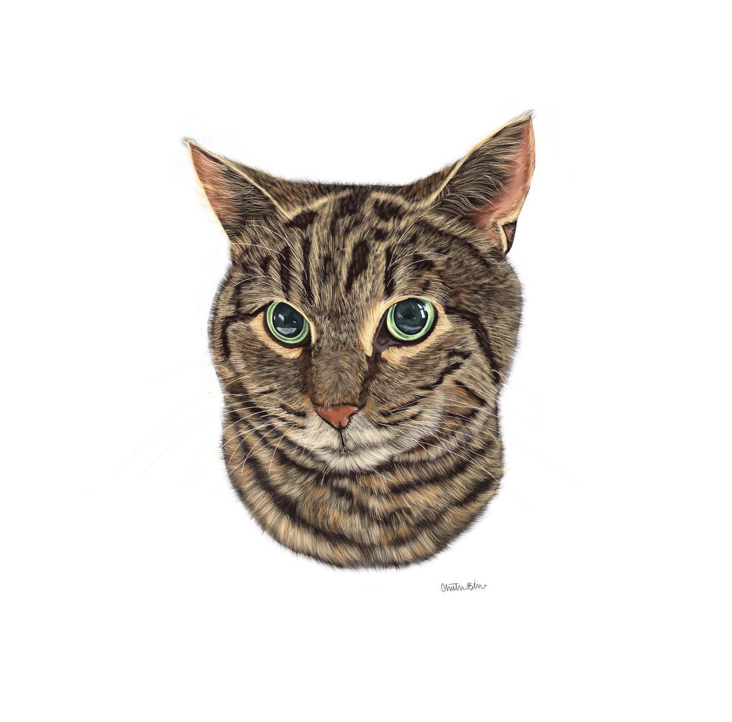 CUSTOM Pet Portrait Painting (hand-illustrated)