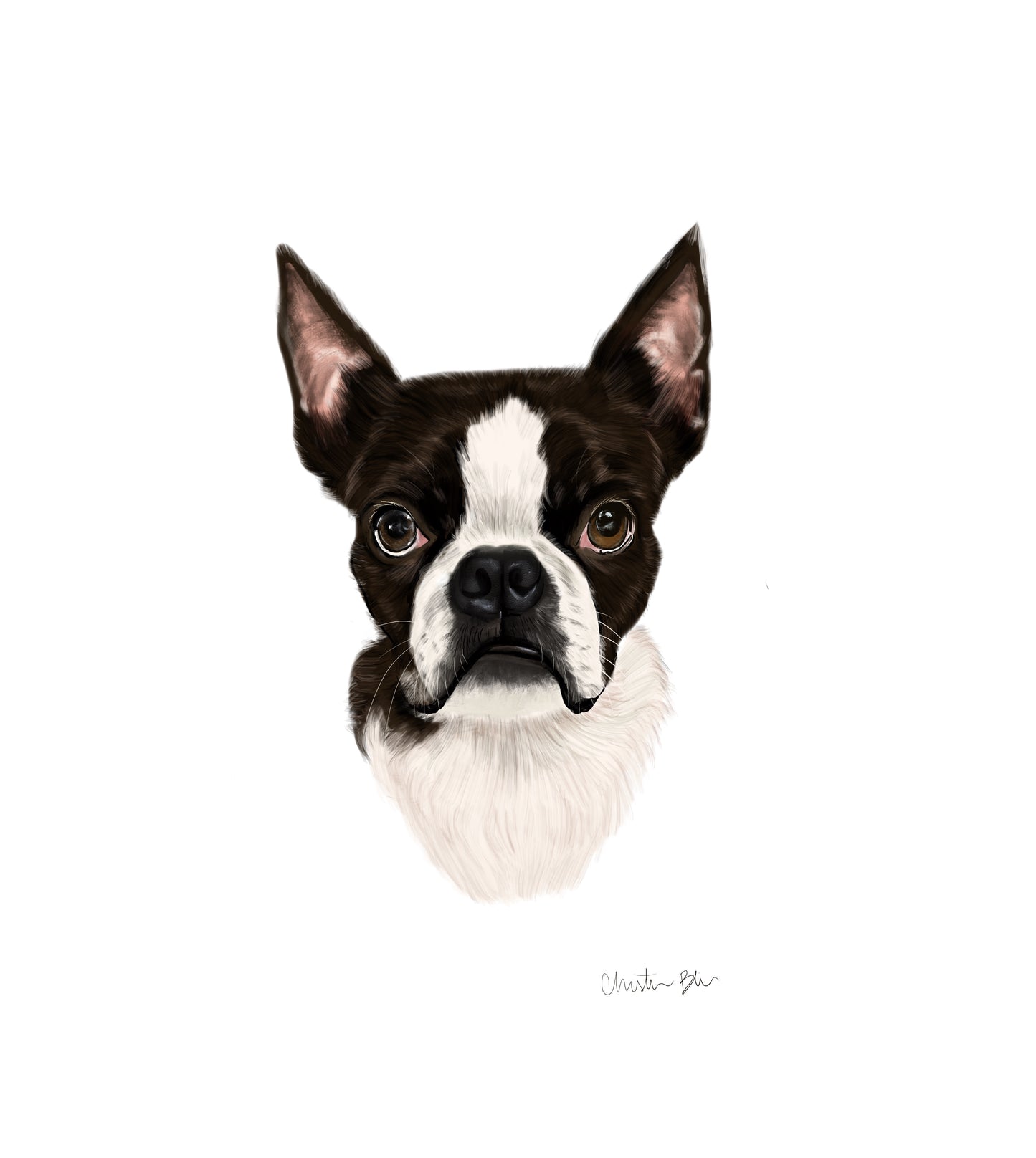 CUSTOM Pet Portrait Painting (hand-illustrated)