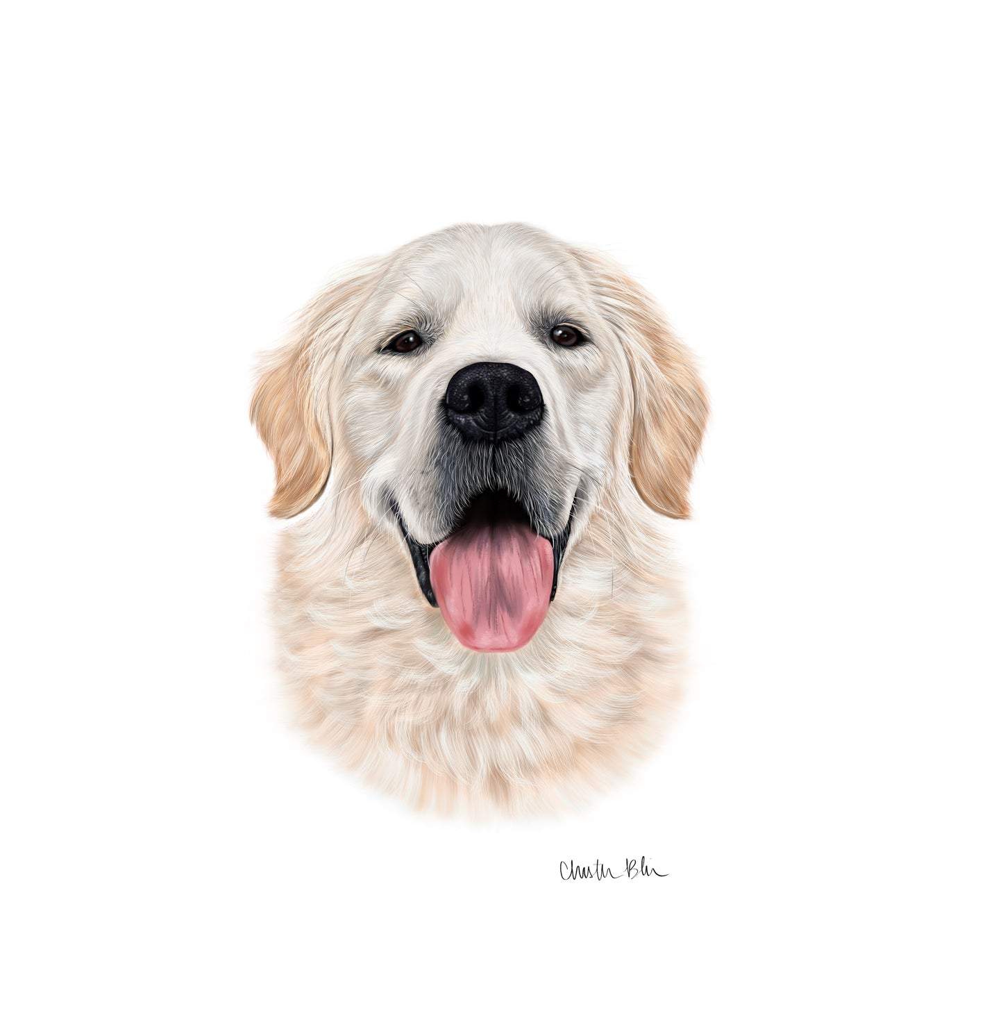 CUSTOM Pet Portrait Painting (hand-illustrated)