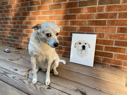 CUSTOM Realistic Pet Portrait (hand-illustrated)