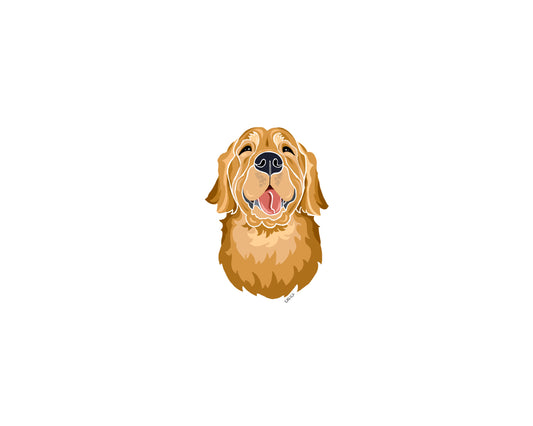 Charles Chins the Golden- Note Cards