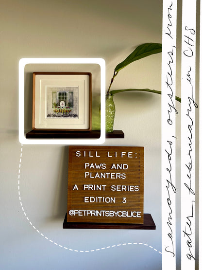 Iron & Pearl (Sill Life: Paws & Planters Edition 3)