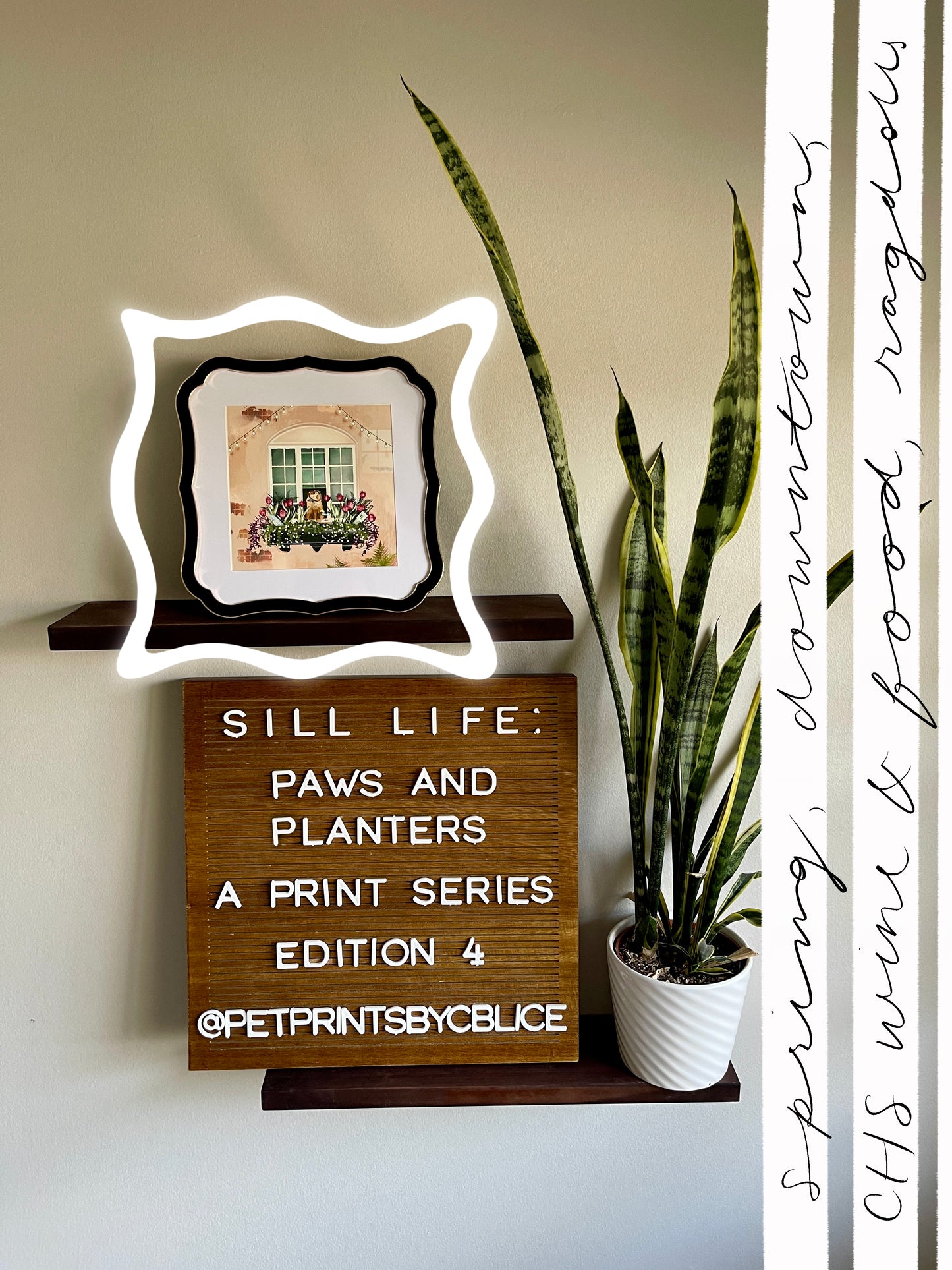 Blossoms & Bubbles (Sill Life: Paws & Planters Edition 4)