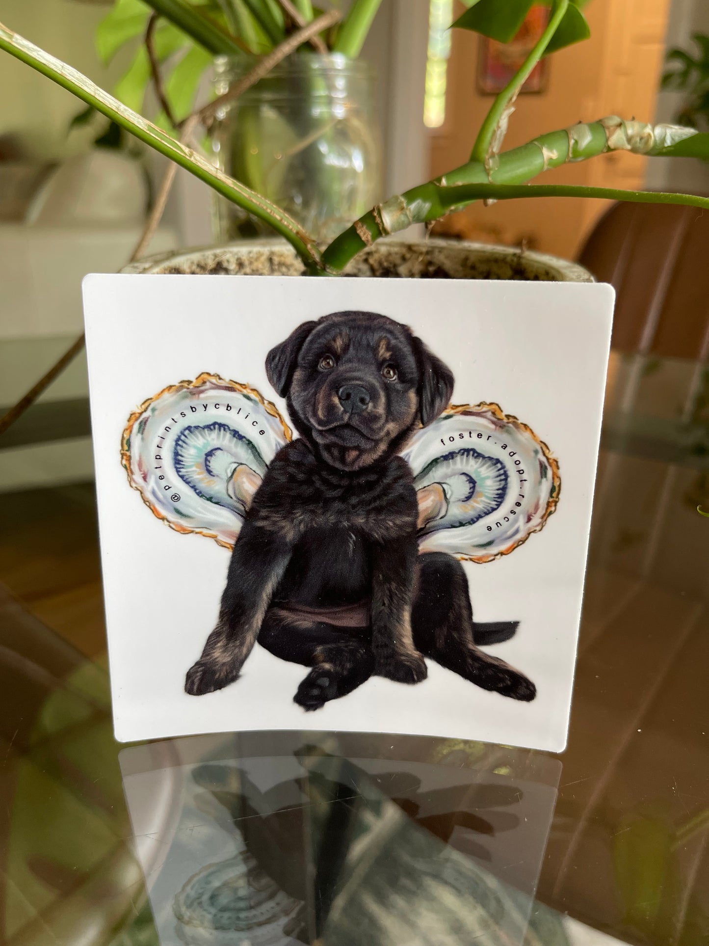 Oyster Angel- Sticker