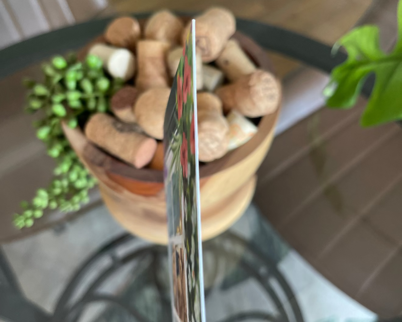 Window Box Watcher- Note Cards