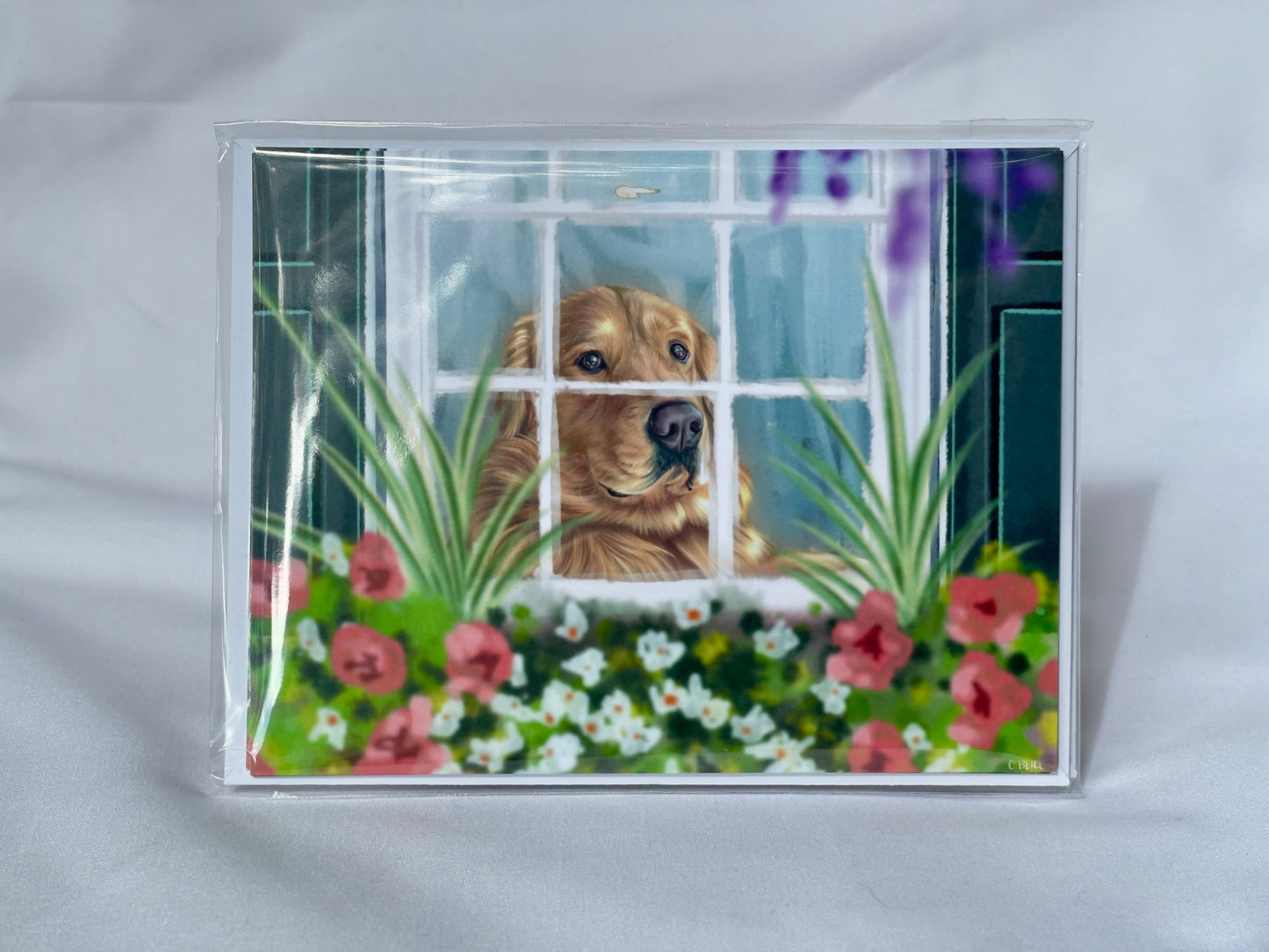 Window Box Watcher- Note Cards