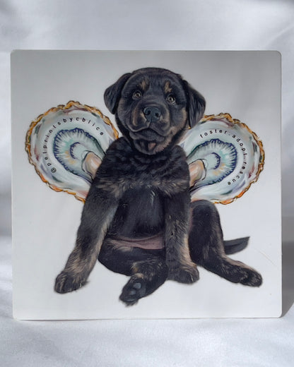 Oyster Angel- Sticker