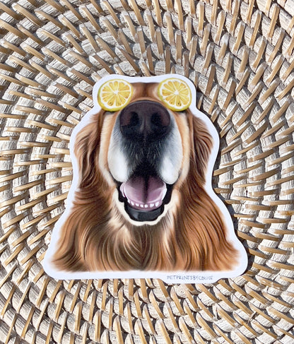 Zesty Specs- Sticker
