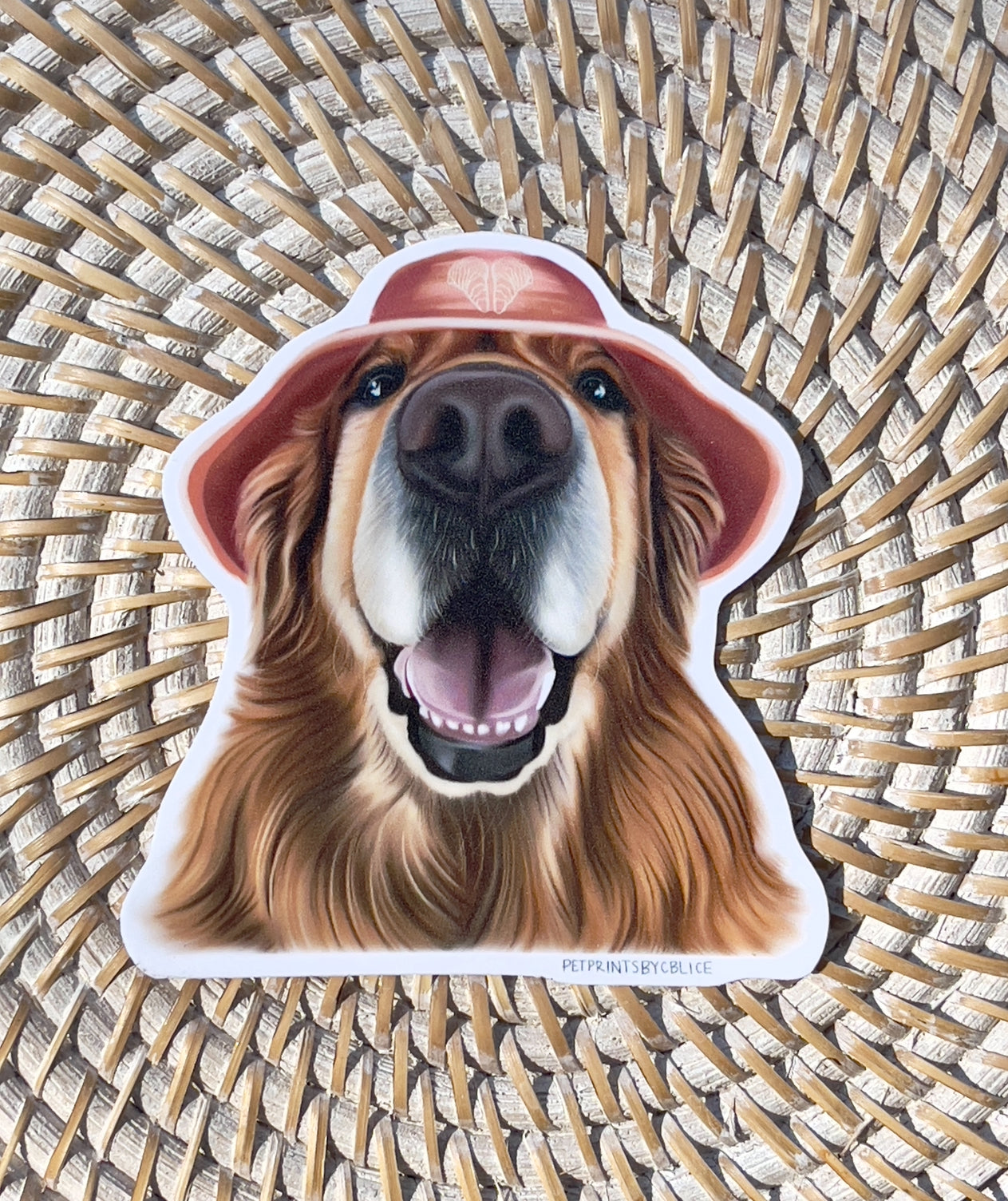 Shuck Morris- Sticker