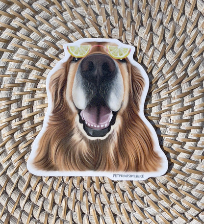 Lime-light Vibes- Sticker