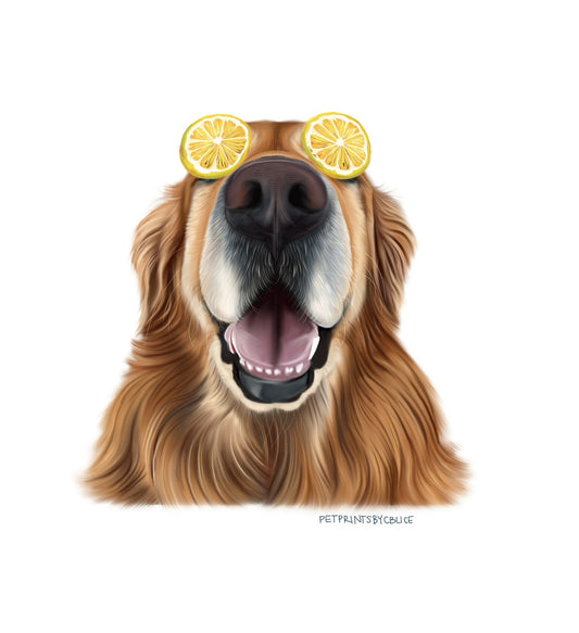 Zesty Specs- Sticker