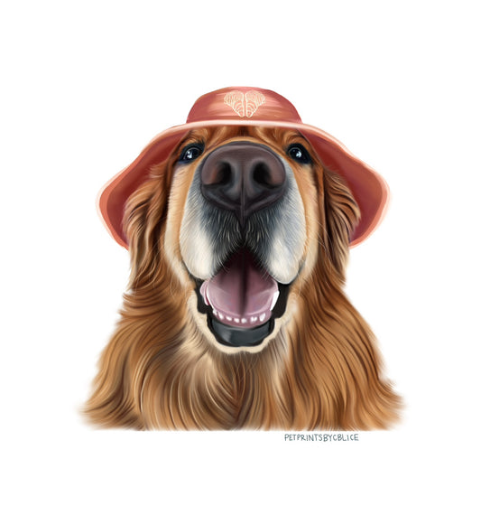 Shuck Morris- Sticker