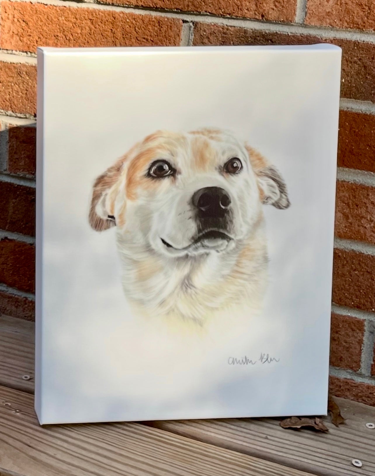 CUSTOM Realistic Pet Portrait (hand-illustrated)