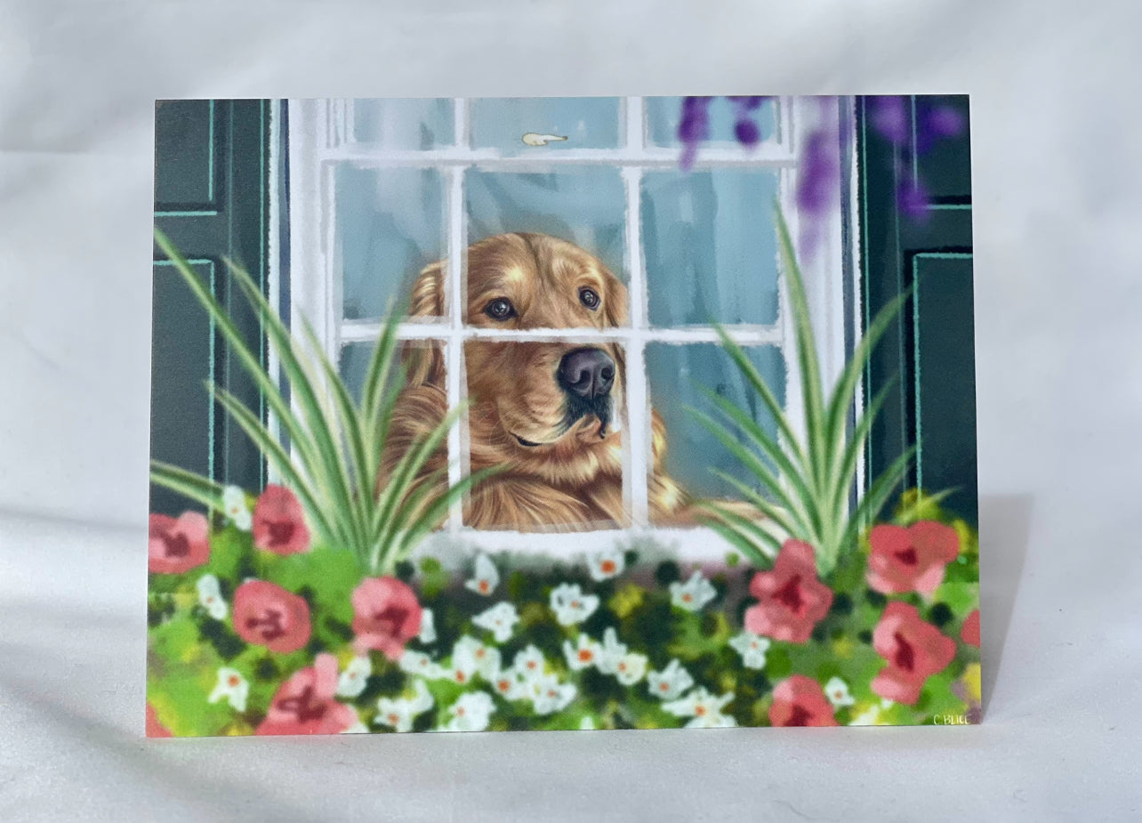 Window Box Watcher- Note Cards