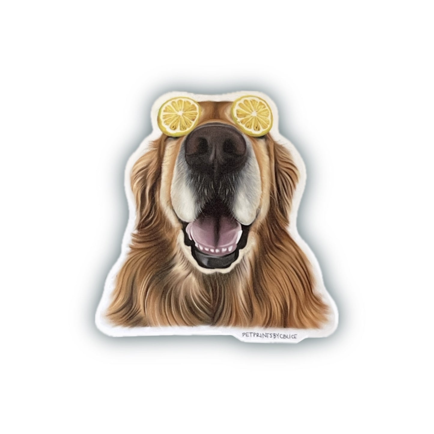Zesty Specs- Sticker