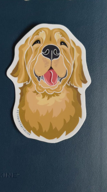 Charles Chins- Sticker